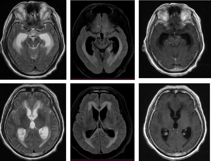 微信图片_20250702152525.jpg 微信图片_20250702152525.jpg